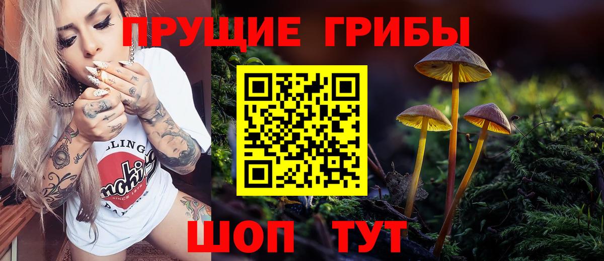 Малгобек  Галлюциногенные грибы мухоморы  Вход с VPN  Псилоцибиновые грибы Magic Shrooms 
